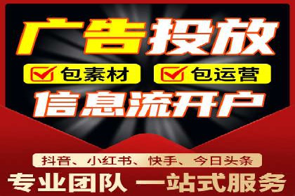 SEO百度推广策略：成功案例解析